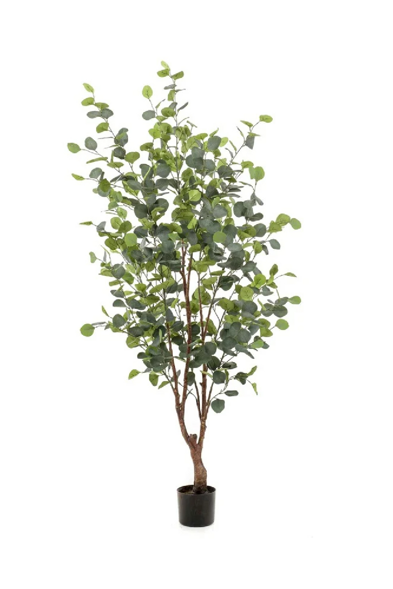 Potted Artificial Tree Set (4) M | Emerald Eucalyptus | Oroatrade.com