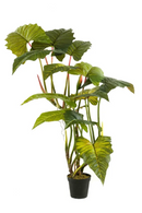 Artificial Elephant Ears Plant Set (2) | Emerald Colocasia On Trunk | Oroatrade.com