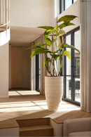 Artificial Elephant Ears Plant Set (2) | Emerald Colocasia On Trunk | Oroatrade.com