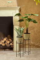 Faux Fan Palm Deco | Emerald Licuala | Oroatrade.com