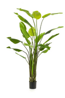 Faux Bird of Paradise Plant Set (2) | Emerald Strelitzia | Oroatrade.com