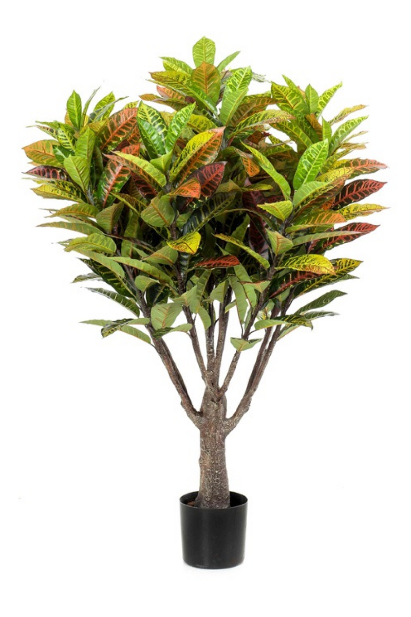 Artificial Colorful-Leaved Plant Set (2) | Emerald Croton | Oroatrade.com