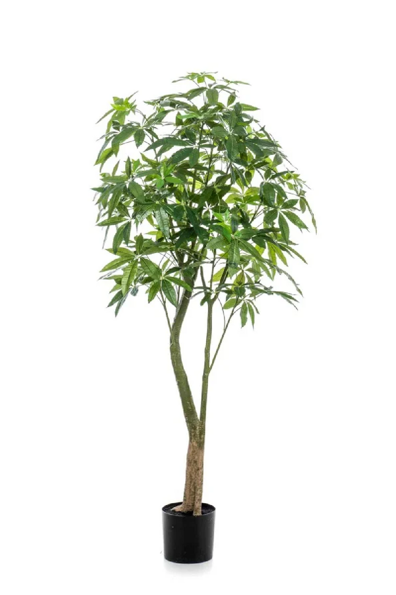 Artificial Money Trees - M (2) | Emerald Pachira | Oroatrade.com