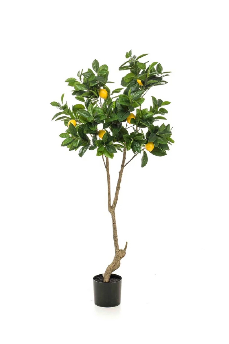 Potted Faux Fruit Trees (2) | Emerald Lemon | Oroatrade.com