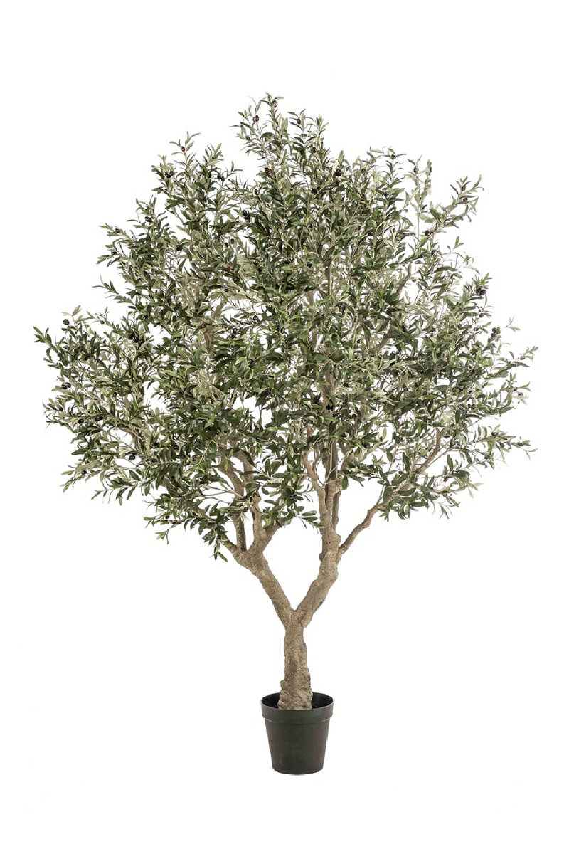 Faux Mediterranean Evergreen Tree | Emerald Olive | Oroatrade.com