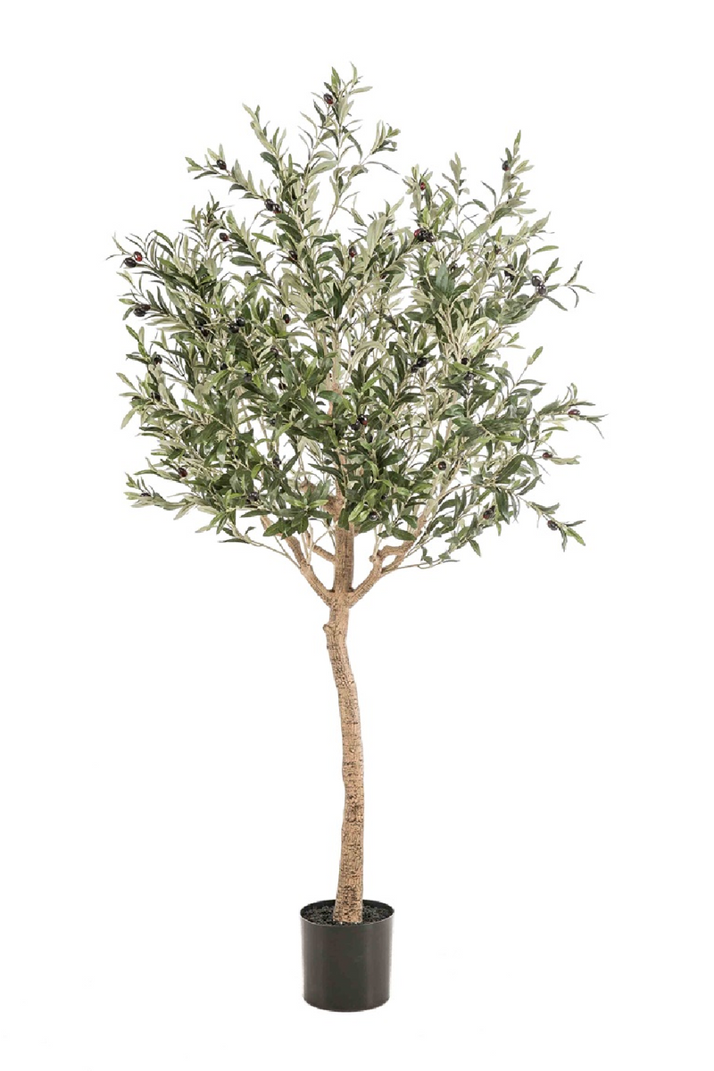 Faux Mediterranean Evergreen Tree Set (2) | Emerald Olive | Oroatrade.com