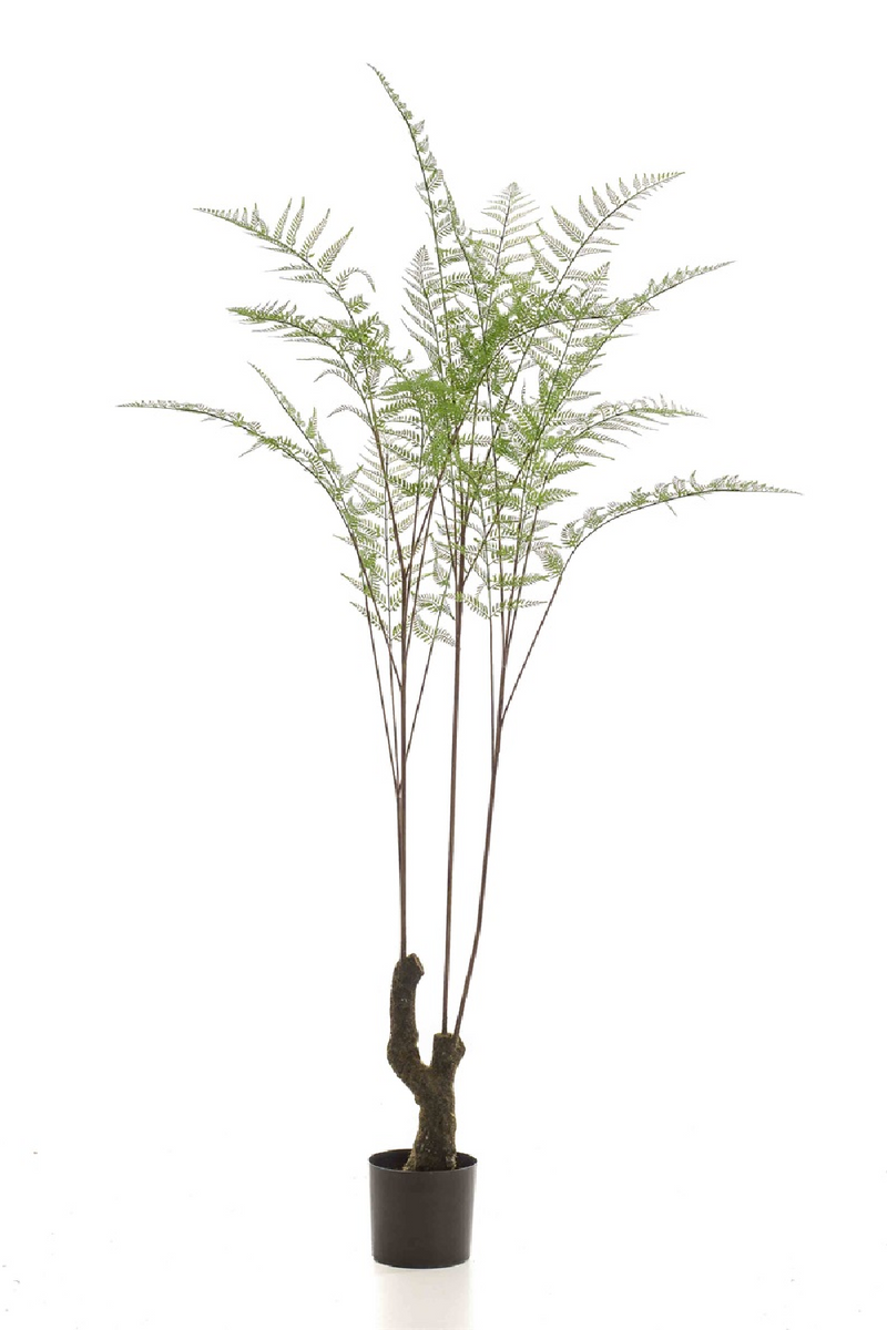 Decorative Potted Faux Plant Set (2) | Emerald Fern Forest On Trunk | Oroatrade.com
