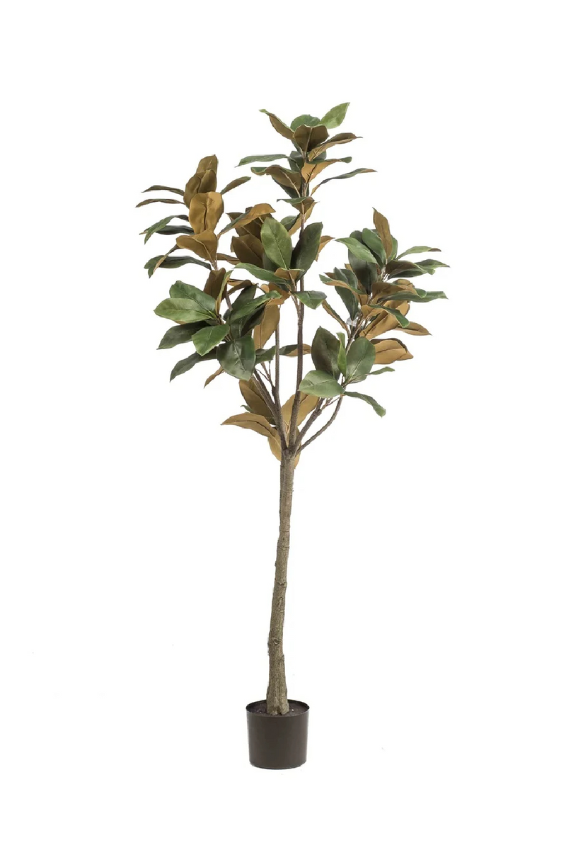 Potted Green Artificial Trees (4) S | Emerald Magnolia Denudata | Oroatrade.com