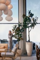 Faux Lily Tree Set (2) | Emerald Magnolia Denudata | Oroatrade.com