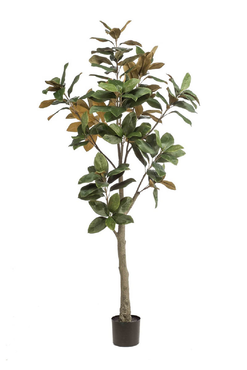 Faux Lily Tree Set (2) | Emerald Magnolia Denudata | Oroatrade.com