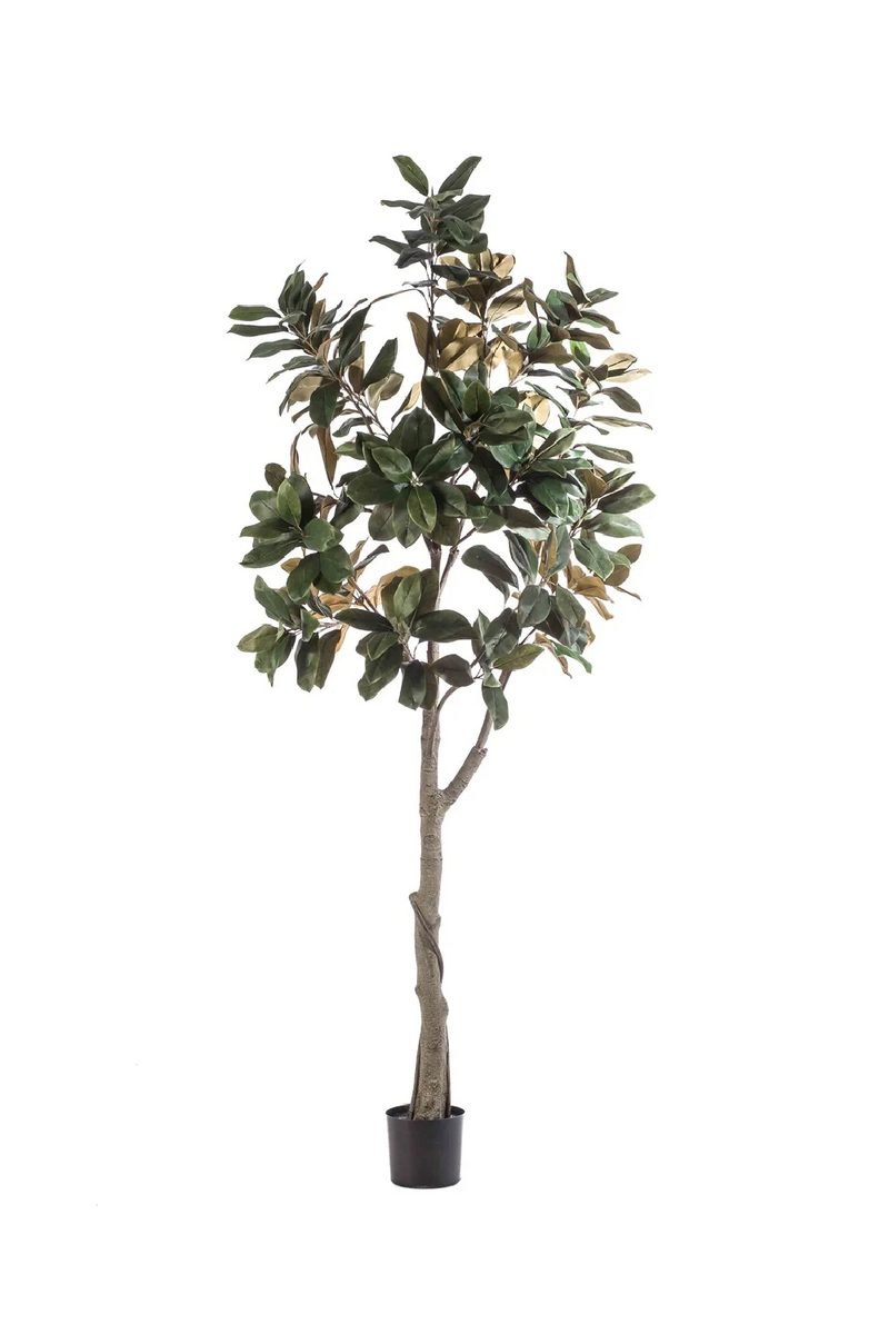 Potted Green Artificial Trees (2) XL | Emerald Magnolia Denudata | Oroatrade.com