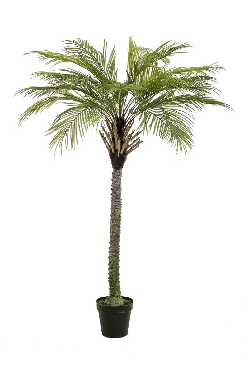 Artificial Date Tree Set (2) | Emerald Phoenix Palm Deluxe | Oroatrade.com