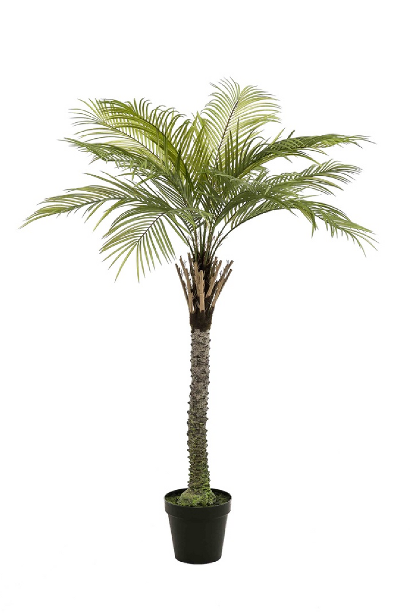 Artificial Date Tree | Emerald Phoenix Palm Deluxe | Oroatrade.com