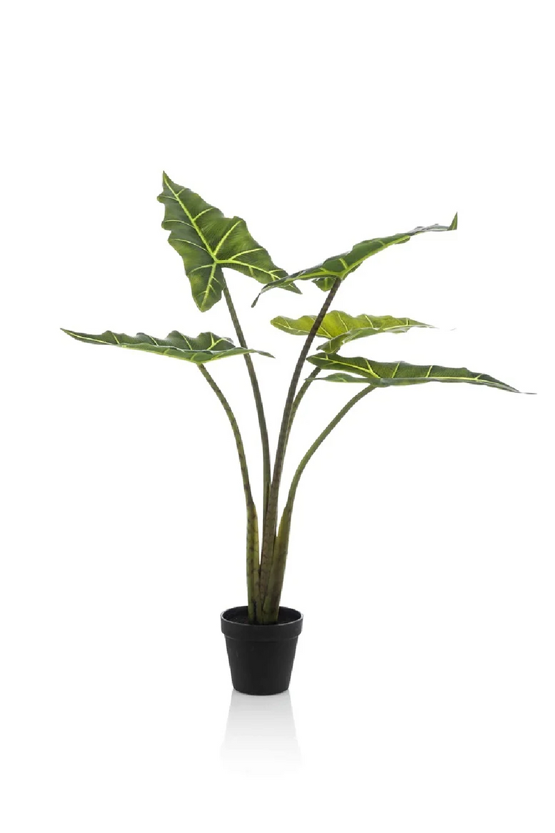 Arrow-Shaped Leaves Faux Houseplants (2) S | Emerald Alocasia | Oroatrade.com