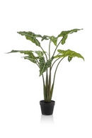 Arrow-Shaped Leaves Faux Houseplants (2) L | Emerald Alocasia | Oroatrade.com