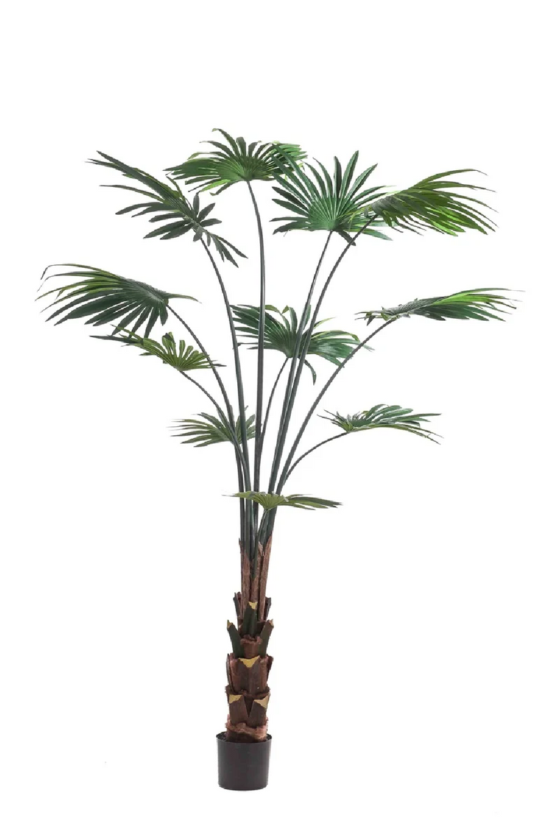 Faux Chinese Fan Plants - S (2) | Emerald Palm Livistona | Oroatrade.com