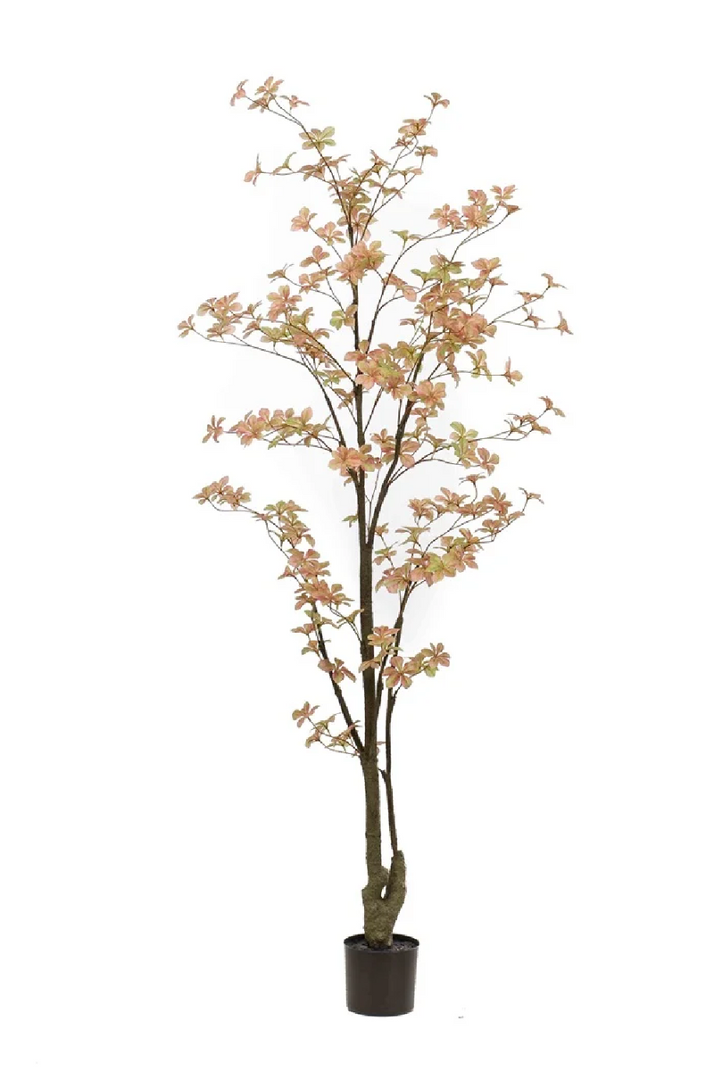 Peach Flowering Faux Plant Set (2) | Emerald Tropaeolum | Oroatrade.com