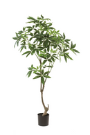 Artificial Money Trees - S (2) | Emerald Pachira | Oroatrade.com