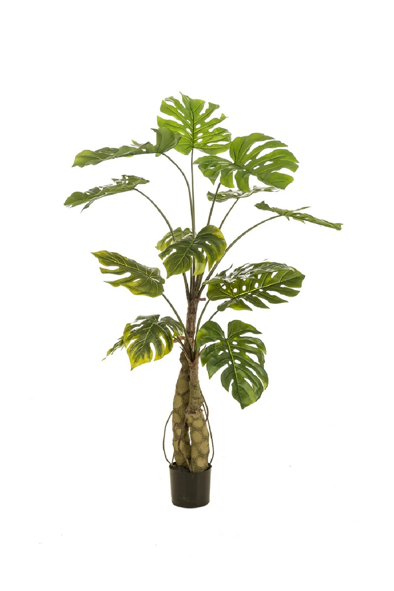 Split-Leaf Faux Plants (2) M | Emerald Monstera on Trunk | Oroatrade.com