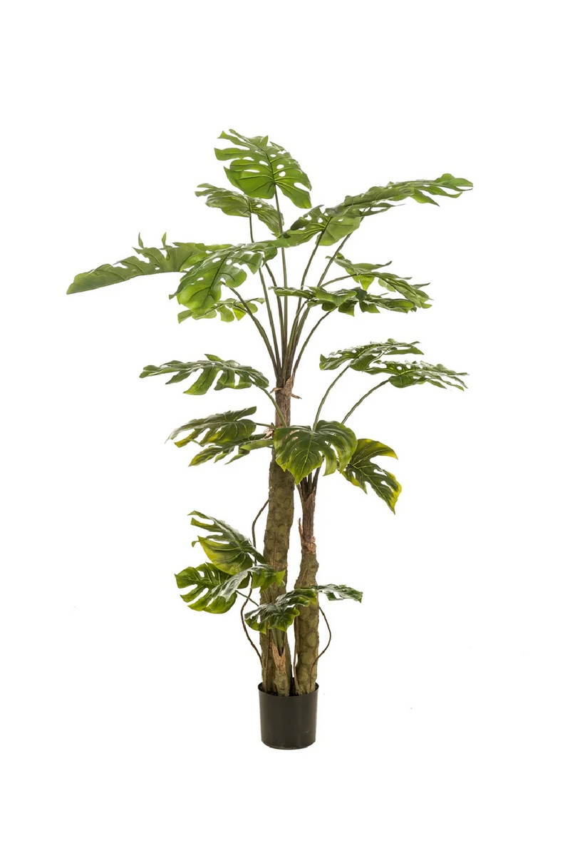 Split-Leaf Faux Plants (2) L | Emerald Monstera on Trunk | Oroatrade.com