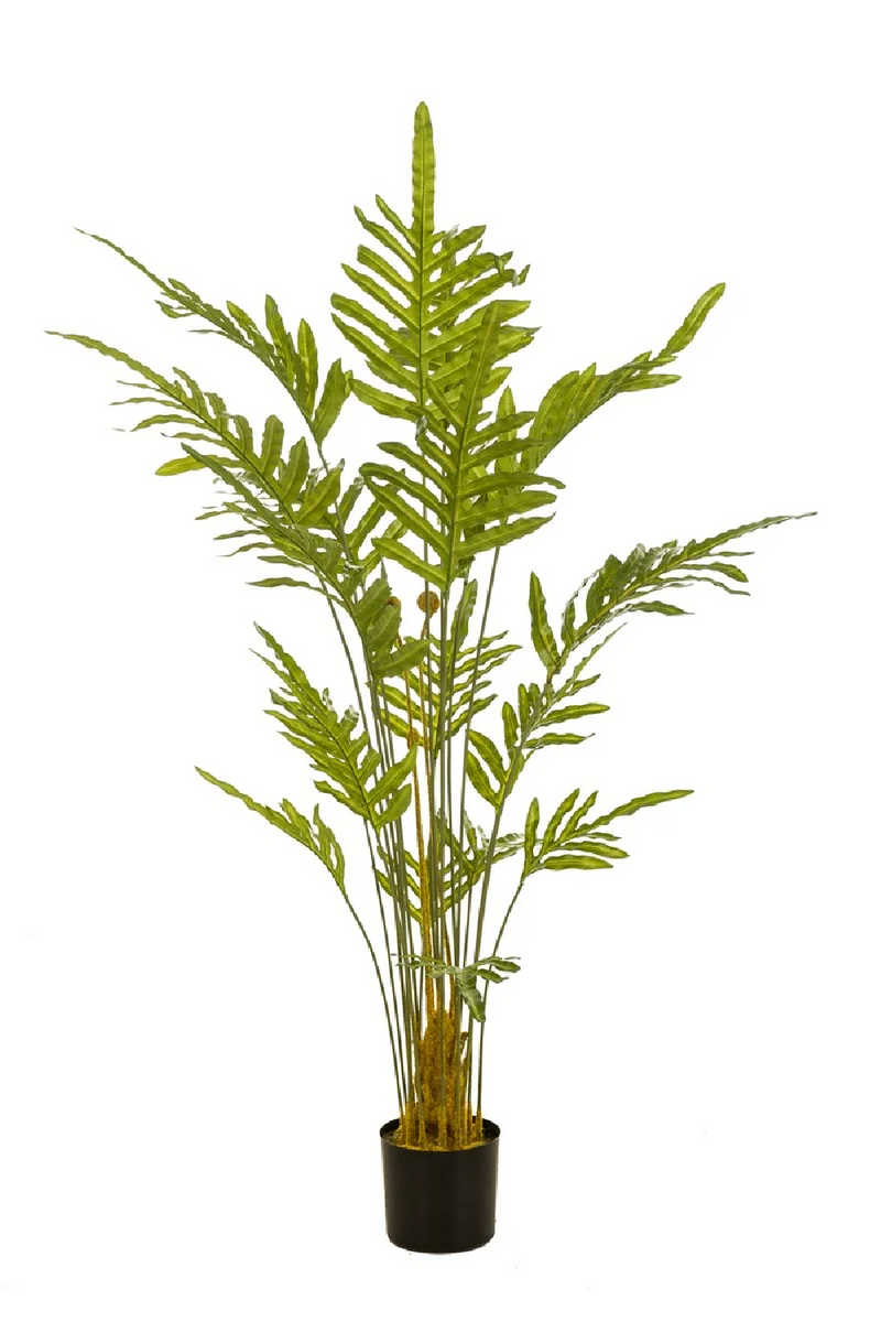 Potted Faux Frond Plants (2) | Emerald Fern | Oroatrade.com