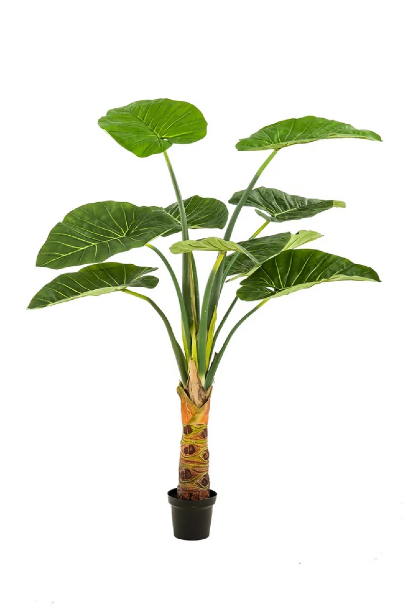 Broad-Leaved Faux Houseplants (2) | Emerald Alocasia | Oroatrade.com