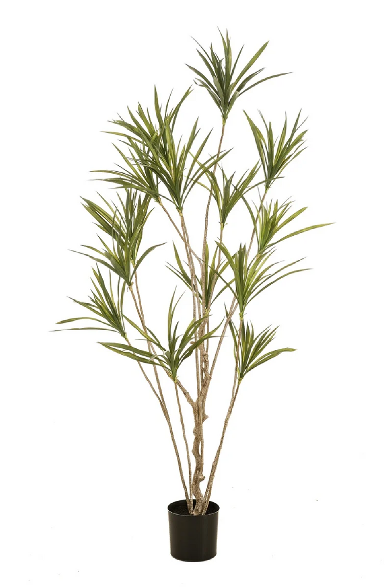 dracaena marginata artificial Multi-Stemmed Faux Plants - S (2) | Emerald Dracaena