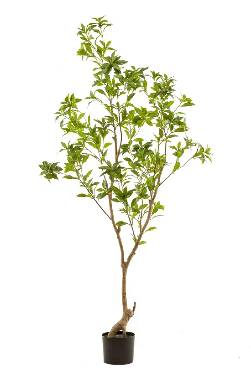 Green Faux Trees (2) | Emerald Tea Leaf | Oroatrade.com
