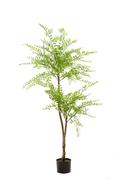 Fine Leaf Faux Trees (2) S | Emerald Sophora | Oroatrade.com
