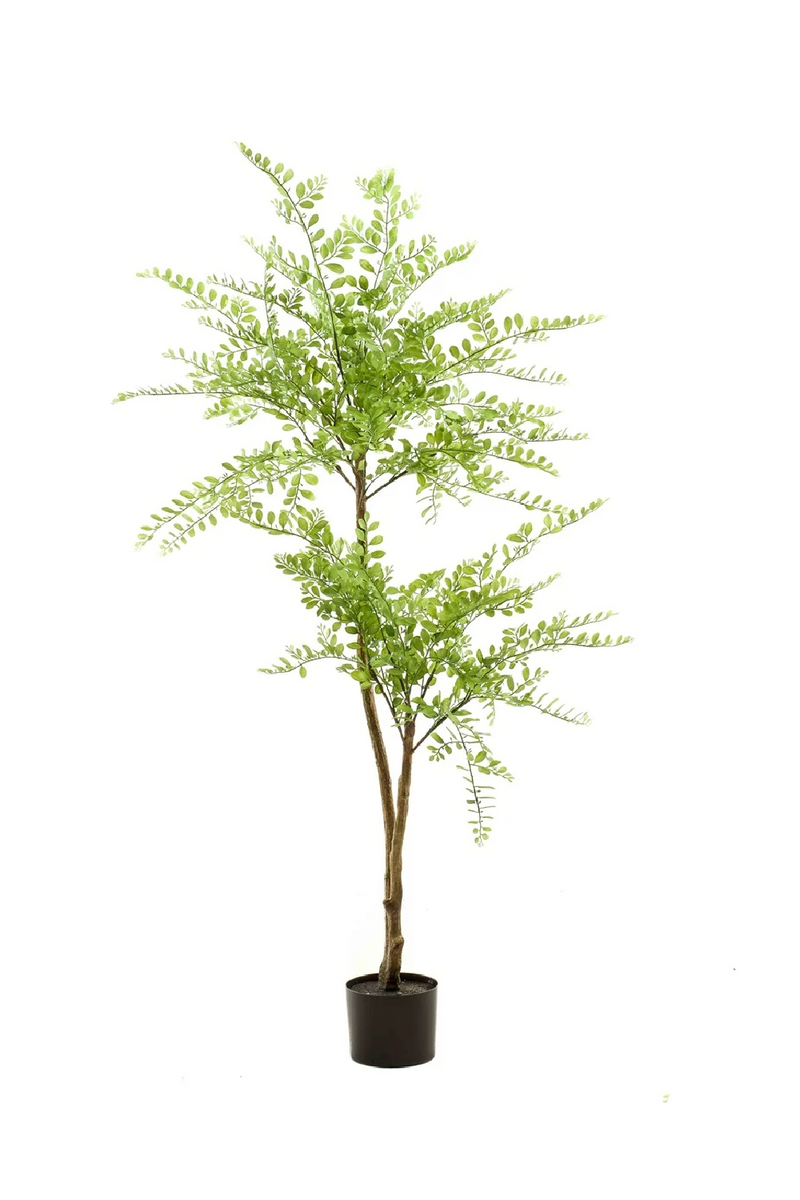 Fine Leaf Faux Trees (2) S | Emerald Sophora | Oroatrade.com