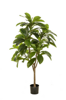 Potted Faux Tropical Trees (2) | Emerald Frangipani | Oroatrade.com