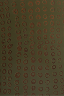 Moss Green Tray | Ethnicraft Second Nature | Oroatrade.com