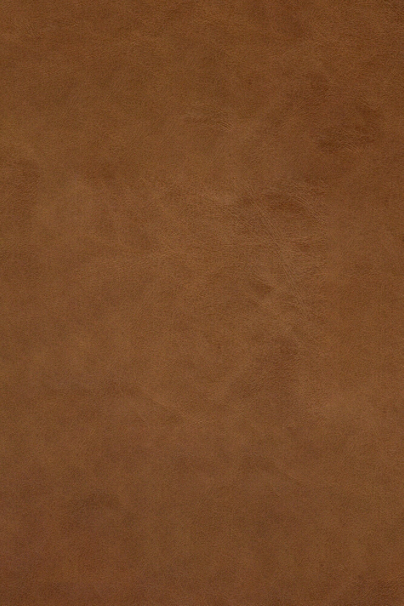 Brown Leather 2-Seater Modular Sofa | Ethnicraft N701 | Oroatrade.com