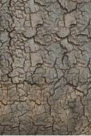 Mineral Console Table | Ethnicraft Pentagon | Oroatrade.com