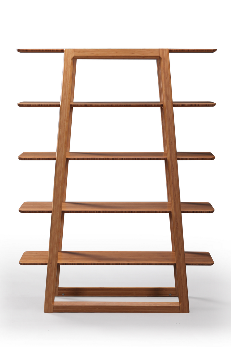 Bamboo Ladder Bookshelf | Greenington Currant | Oroatrade.com