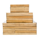 Hospitality furniture - Natural Bamboo Garden Box Set (3) - www.oroatrade.com