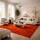 Modern furniture - Hand-Loomed Wool Fringe Carpet - www.oroatrade.com