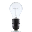 Contract furniture - Scalloped Raffia Shade Table Lamp - www.oroatrade.com