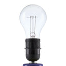 Contract furniture - Scalloped Raffia Shade Table Lamp - www.oroatrade.com