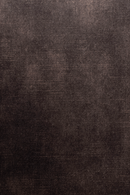 Velvet Modern Dining Armchairs (2) | DF Jamie | Oroatrade.com