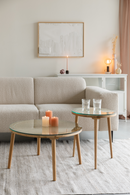 Natural Rattan Modern Coffee Table | DF Haru | Oroatrade.com