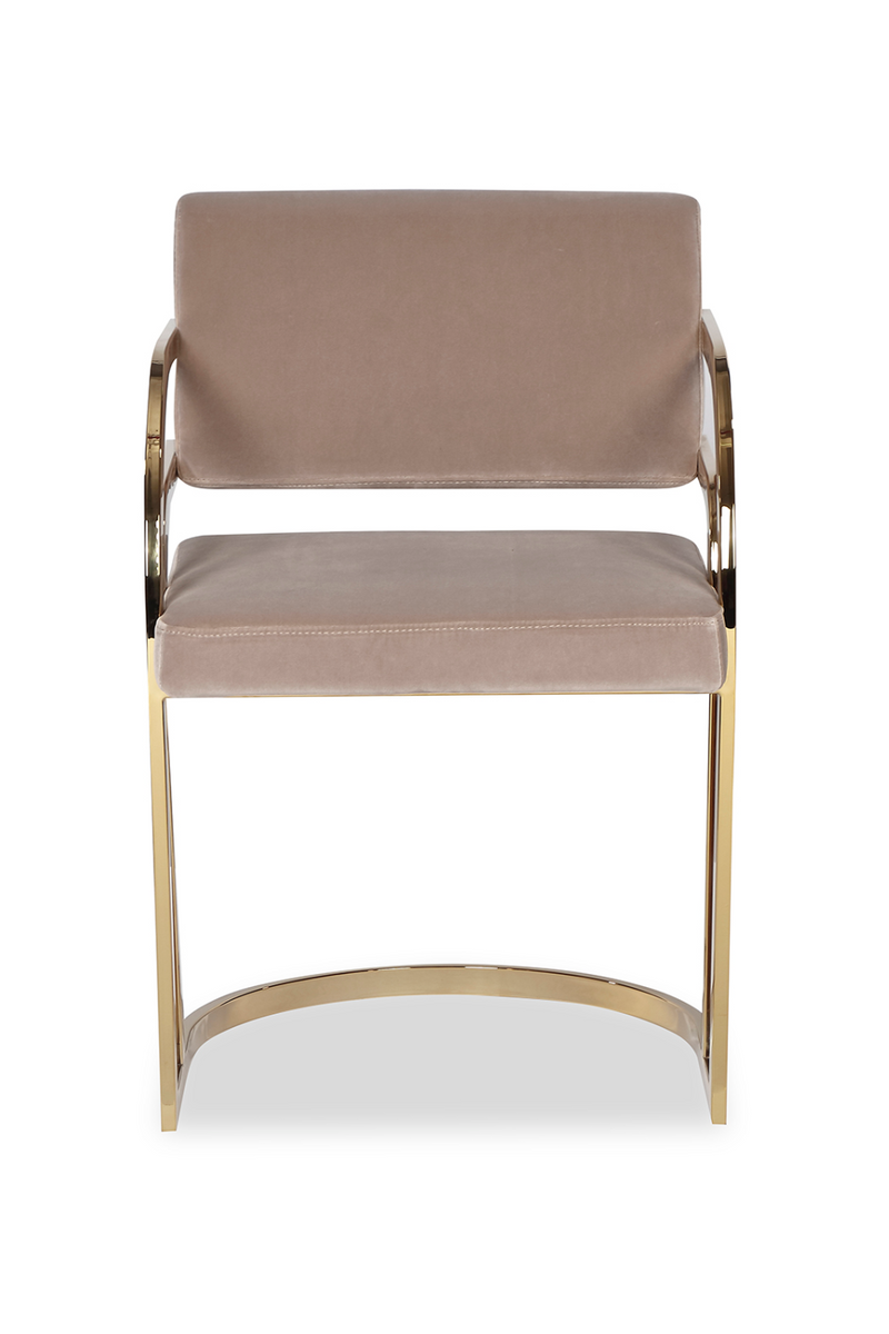 Brass Framed Mink Velvet Dining Chair | Liang & Eimil Dylan | Oroatrade.com