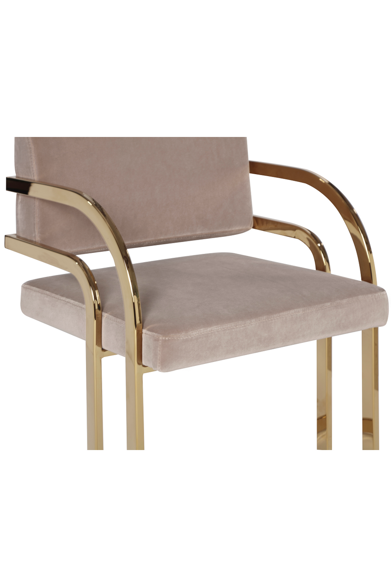 Brass Framed Mink Velvet Dining Chair | Liang & Eimil Dylan | Oroatrade.com