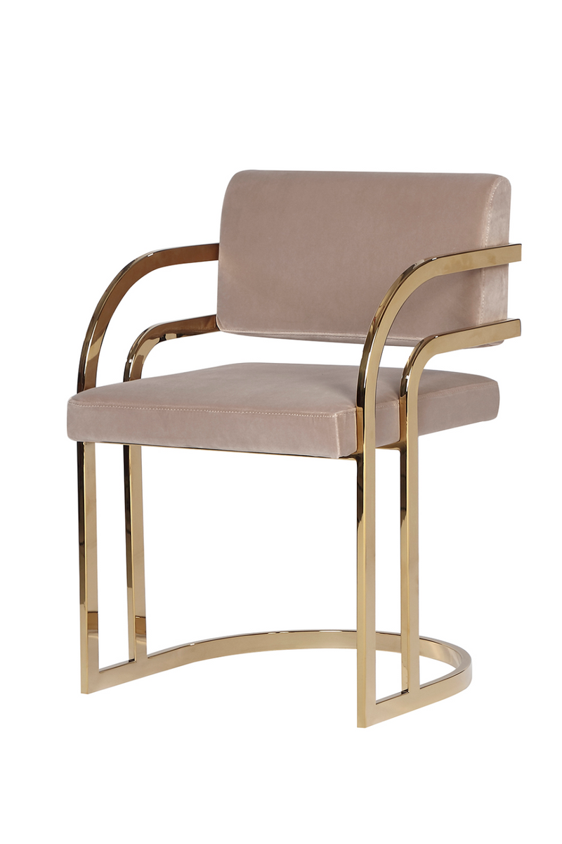 Brass Framed Mink Velvet Dining Chair | Liang & Eimil Dylan | Oroatrade.com