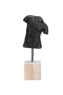 Dark Bronze Torso Sculpture | Liang & Eimil Scarred Elegance