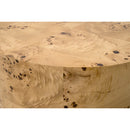 Burl Wood Cylindrical Accent Table | Living Essentials