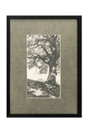 Monochromatic Tree Framed Print | Novi Living Arise | Oroa.com