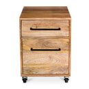 Wooden 2-Drawer Mobile Filing Cabinet | Novi Living Colvin