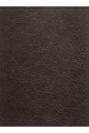 Top-Grain Leather Sectional Sofa | Novi Living Form