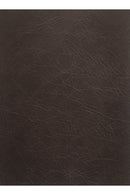 Leather Modular Sectional Sofa | Novi Living Form